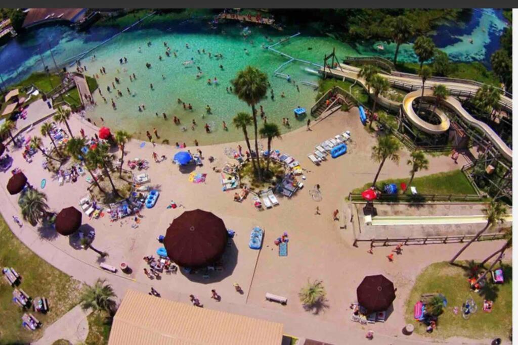 Manatee Oasis Weeki Wachee Family Fun Pool Home Spring Hill Bagian luar foto